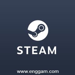 Steam